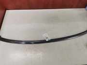 Blende Stoßstange links Peugeot 607 () 9653246777