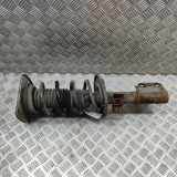 Stoßdämpfer vorne rechts TOYOTA PROACE Furgon (MDZ_) 1.6 D (MDZ2_) SU001-A6151 SU001A6151