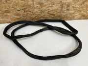 Türgummi rechts vorne BMW 7er (G11, G12) 7336046