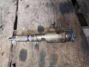 Einspritzdüse PEUGEOT 407 SW (6E_) 2.0 HDi 135 0445110252