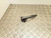 Türgriff links Hyundai i30 II (GD)