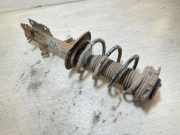 Stoßdämpfer vorne rechts NISSAN QASHQAI / QASHQAI +2 I (J10, JJ10) 1.6 824903002933