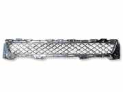 Gitter vorne unten JAGUAR XJ (X351) 5.0 V8 CW9M17K945AA