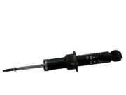 Stoßdämpfer hinten links