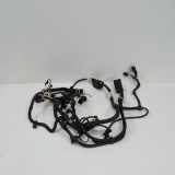 Motor Kabelbaum BMW 3 (F30, F80) 328 i 8654233