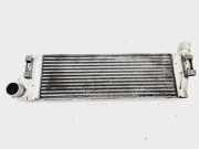 Ladeluftkühler Renault Grand Scenic II (JM) 8200115540