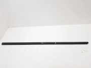 Vertikale Verkleidung an der vorderen linken Tür FORD FOCUS (DAW, DBW) 1.8 TDCi