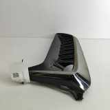 Gitter Grill vorne links LEXUS UX (_AA1_, _AH1_, _MA1_) 250h (MZAH10) 53118-76020 52040-76010