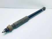 Stoßdämpfer hinten links