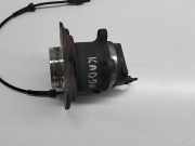 Nabe hinten rechts RENAULT KADJAR (HA_, HL_) 1.2 TCe 130 432024EA0A