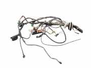 Kabel Motor Renault Kangoo II Rapid (FW0)