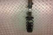 Stoßdämpfersatz Vorderachse Ford EcoSport () GN1518045M3B