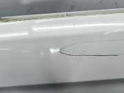 Tür links vorne Hyundai Santa Fe III (DM)