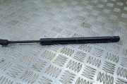 Gasfeder für Motorhaube BMW X6 (F16, F86) 7308065