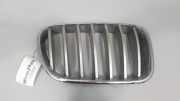 Kühlergrill oben BMW X3 (F25) 7210726
