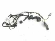 Kabel Tür Peugeot 508 I () 9675217280