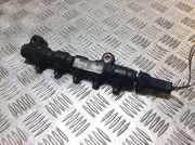 Kraftstoffdrucksensor PEUGEOT 207 CC (WD_) 1.6 HDi 965459080
