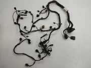 Kabel Motor Audi Q5 (8R) 4H0906235
