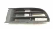 Gitter vorne unten VW POLO (AW1, BZ1, AE1) 1.6 TDI 6Q0853666D