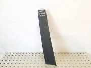 Vertikale Verkleidung an der hinteren rechten Tür FIAT CROMA (194_) 1.9 D Multijet