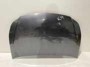 Motorhaube Suzuki SX4 (EY, GY)