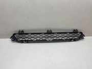 Gitter vorne unten BMW X3 (F25) xDrive 20 d 7210466