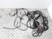 Motor Kabelbaum CITROËN BERLINGO (MF) 1.6 HDI 75 (MF9HW) U118470002 9650618580