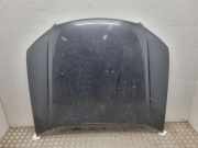 Motorhaube AUDI A8 D3 (4E2, 4E8) 3.7 quattro