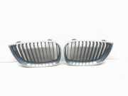 Vorderer oberer Gitter BMW 1 (E87) 120 d 7077130