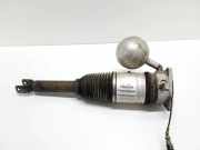 Stoßdämpfer links hinten VW Phaeton (3D) 3D0616001H