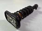 Stoßdämpfer hinten links BMW X6(G06) (G06, F96) M 9500365