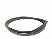 Türgummi links vorne BMW 3er Coupe (E92) 7119091