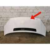 Motorhaube FORD TRANSIT Van (FA_ _) 2.2 TDCi [RWD]