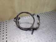 Kabelbaum RENAULT KADJAR (HA_, HL_) 1.5 dCi 110 241101155R