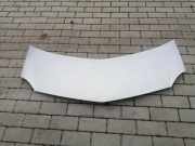 Motorhaube RENAULT MODUS / GRAND MODUS (F/JP0_) 1.5 dCi (FP0D, JP0D)