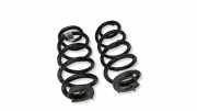 Schraubenfeder hinten links BMW X1 (F48) xDrive 20 d