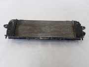 Ladeluftkühler Renault Trafic II Kasten (FL) 8200411160