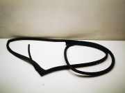 Türgummi rechts hinten Chrysler 300 C Touring (LX, LE)