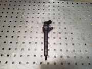 Düsenstöcke VW Passat B7 (362) 0445110646