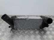 Ladeluftkühler PEUGEOT 407 (6D_) 2.0 HDi 135 9636635380 0798005600