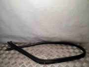 Türgummi rechts vorne Opel Movano B Kasten (X62)