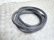 Türdichtungsgummi vorne links PORSCHE CAYENNE (9PA) S 4.5