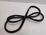 Türdichtung Lexus NX 1 ()