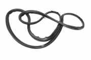 Türdichtungsgummi vorne links FORD TRANSIT CUSTOM Minibus / passenger 2.2 TDCi BK21-V20708-AD