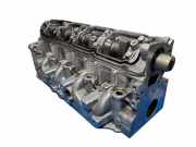 Motorkopf RENAULT GRAND SCÉNIC II (JM0/1_) 1.9 dCi (JM14) F9Q818