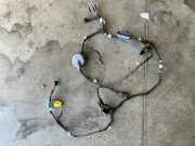 Kabel Tür Audi Q5 (8R) 8R0971029AD