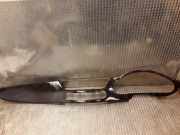 Andere Verkleidungsteile MERCEDES-BENZ CLS (C219) CLS 350 (219.356) a2196800571 2196800571