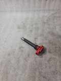 Zündspule AUDI A6 Allroad (4FH, C6) 3.2 FSI quattro 0221604800