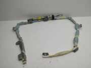 Dach SRS rechts LEXUS IS II (GSE2_, ALE2_, USE2_) 220d (ALE20) BAMPT1150