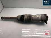 Gasdruckfeder Tesla Model S (5YJS) 600635200C